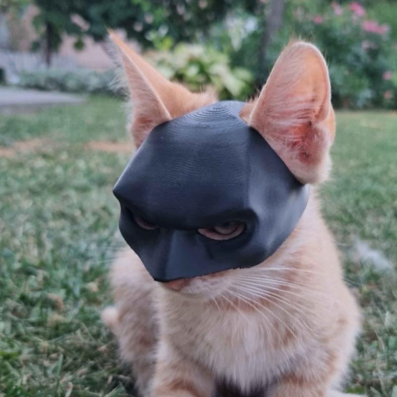 Cat Bat Mask - Versatile Bat-Inspired Mask for Cats, Comfortable Plastic Mask Perfect for Halloween and Cosplay bat cat