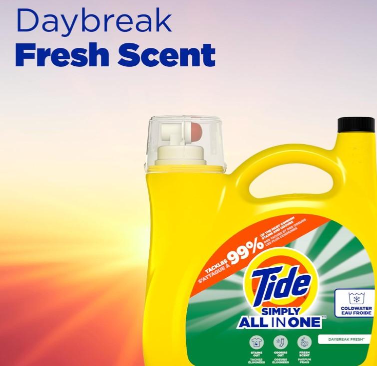 168 fl oz Daybreak Fresh 128 Loads Detergent Household Pack Cleaning