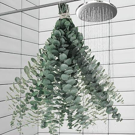 11 PCS Real Dried Eucalyptus Stems for Shower Hanging-17'' Large Preserved Eucalyptus Shower Plants Shower Stuff for Shower Decor, Fresh Eucalyptus Leaves, Fragrance, Bathroom Vase Decor Decorative Fruit Leaf Bouquet Farmhouse Gift