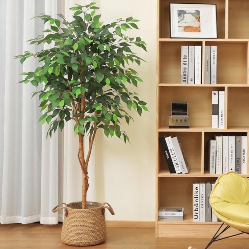 5ft Artificial Ficus Tree in Black Plastic Pot for Living Room and Office Decor Decorative Fruit Plant Centerpiece Silk Wooden Ornaments