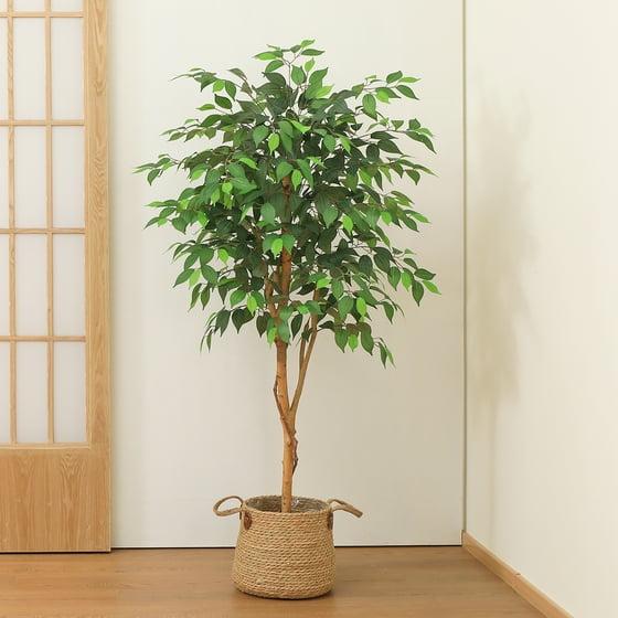 5ft Artificial Ficus Tree in Black Plastic Pot for Living Room and Office Decor Decorative Fruit Plant Centerpiece Silk Wooden Ornaments