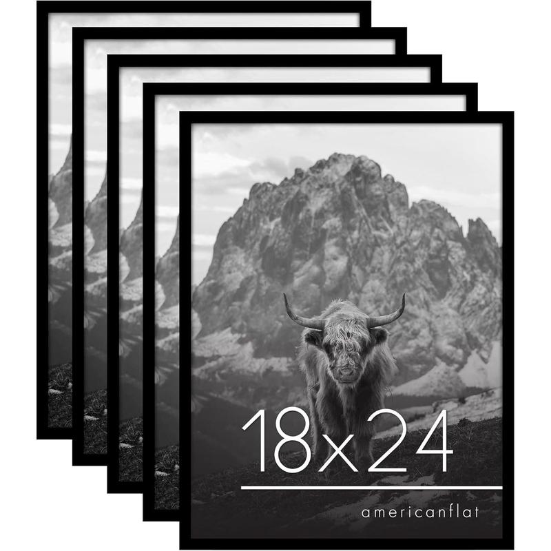 Poster Frame with Polished Plexiglass - Set of 5 - Galleria Collection - Gallery Wall Frame Set for Wall Display - Black  Unframe Decor Photo