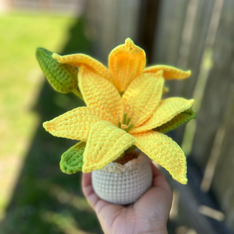 Handmade Mother’s day Gifts Crochet Flowers in Pot