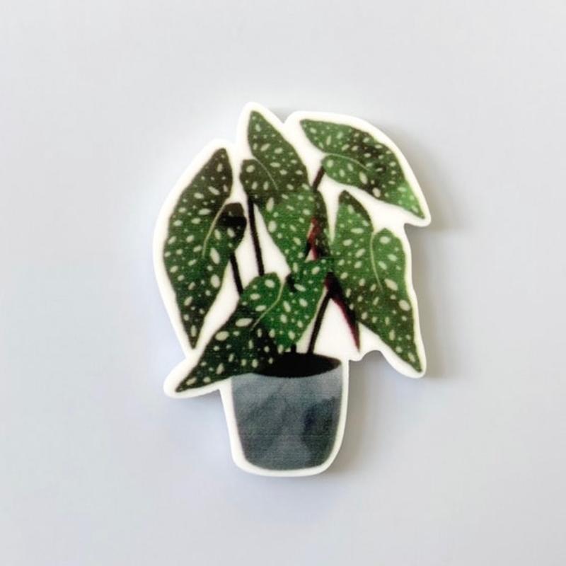 Plant Mom Fridge Magnets | Indoor Gardening Gifts | Philodendron | Monstera | Terrarium | Home Is Where My Plants Are | Plant Lady | Cactus Decor Set