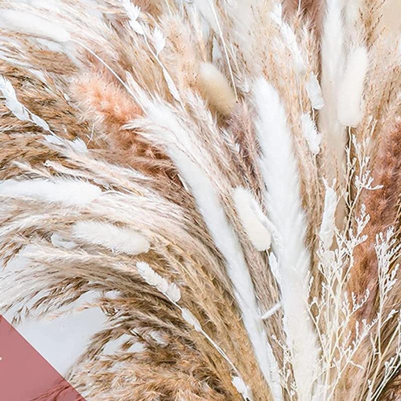 Dried Reed Grass Decoration, 50pcs set Fluffy Reed Grass Bouquet, Plant Decoration for Flower Arrangement, Wedding, Coffee Table, Home Decor