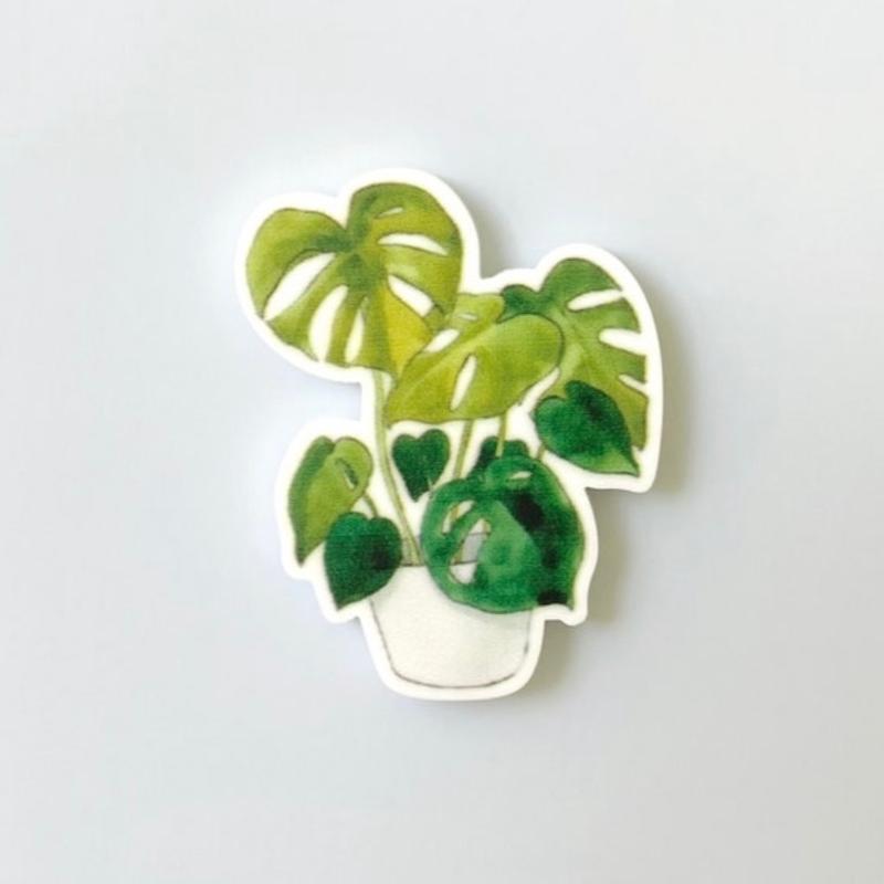 Plant Mom Fridge Magnets | Indoor Gardening Gifts | Philodendron | Monstera | Terrarium | Home Is Where My Plants Are | Plant Lady | Cactus Decor Set