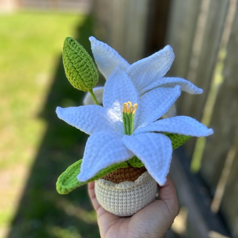 Handmade Mother’s day Gifts Crochet Flowers in Pot