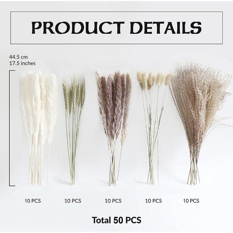 Dried Reed Grass Decoration, 50pcs set Fluffy Reed Grass Bouquet, Plant Decoration for Flower Arrangement, Wedding, Coffee Table, Home Decor