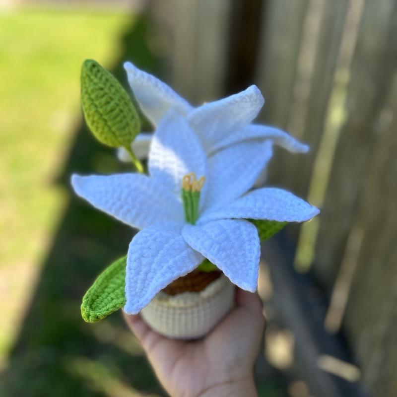 Handmade Mother’s day Gifts Crochet Flowers in Pot