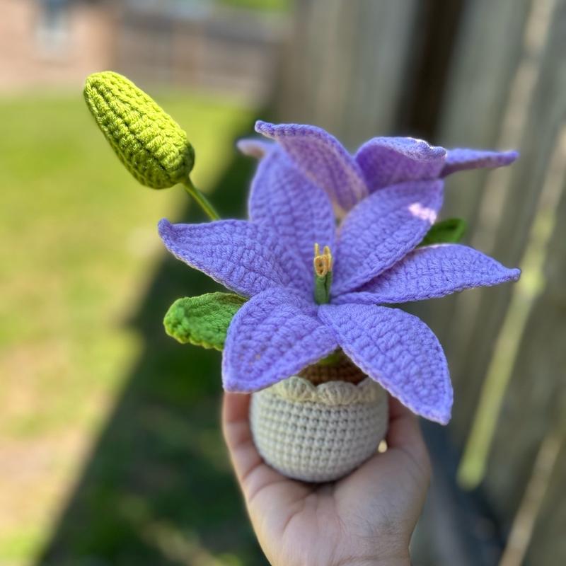 Handmade Mother’s day Gifts Crochet Flowers in Pot