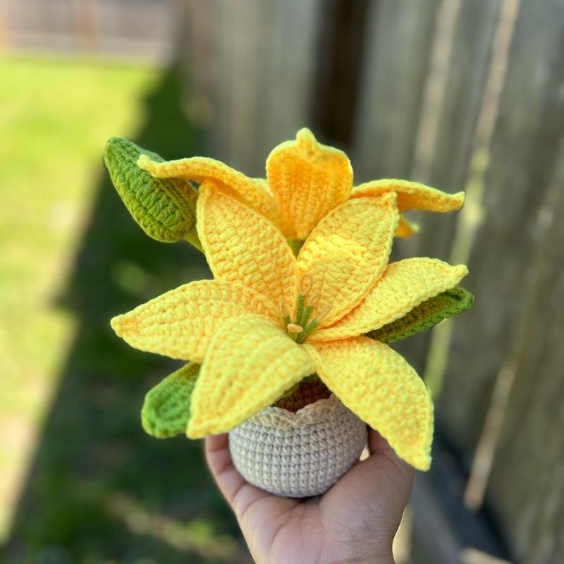 Handmade Mother’s day Gifts Crochet Flowers in Pot