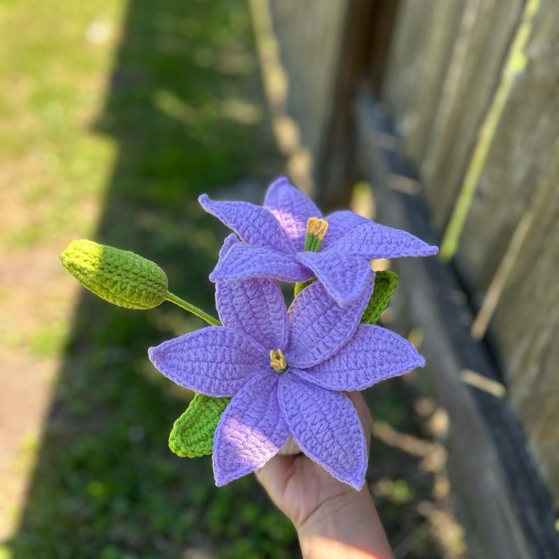 Handmade Mother’s day Gifts Crochet Flowers in Pot