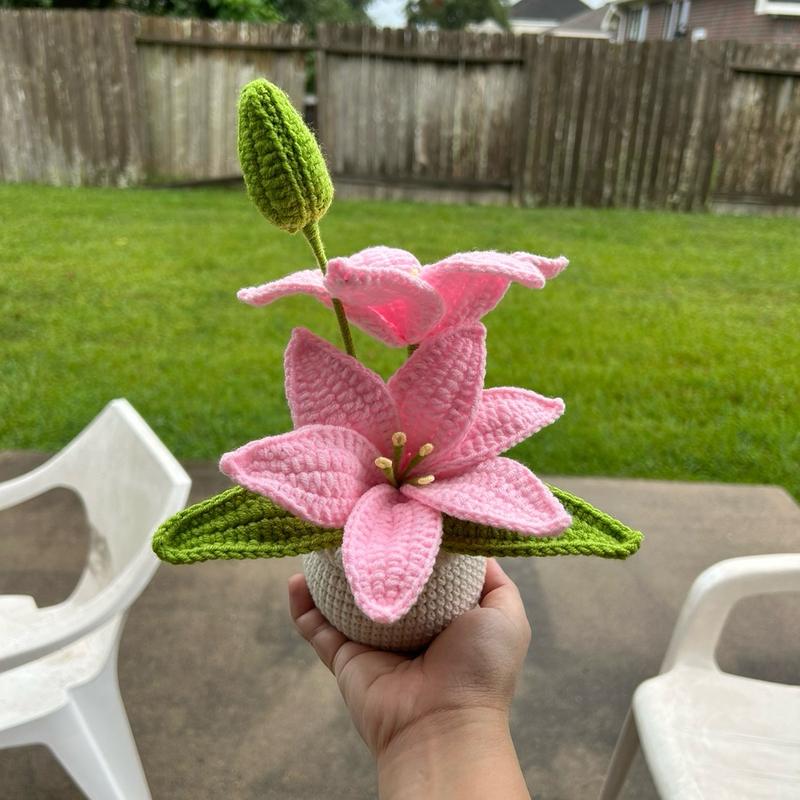 Handmade Mother’s day Gifts Crochet Flowers in Pot