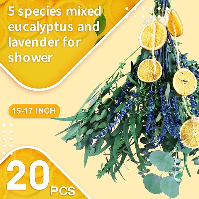 5 Kinds Mix Dried Eucalyptus & Lavender Flowers Bundle for Shower , 15''-17'' Real Fresh Preserved Eucalyptus Leaves and Lemon Hanging Plants, Home Bathroom Decor, Fragrance