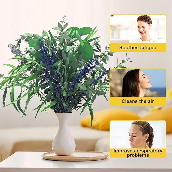 5 Kinds Mix Dried Eucalyptus & Lavender Flowers Bundle for Shower , 15''-17'' Real Fresh Preserved Eucalyptus Leaves and Lemon Hanging Plants, Home Bathroom Decor, Fragrance