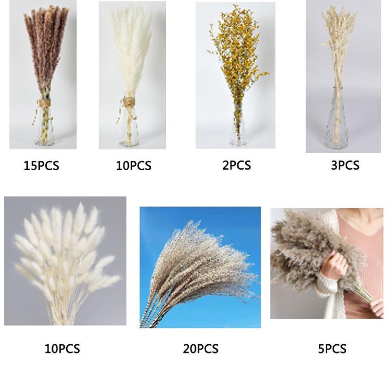 Natural Dried Pampas Grass for Room Decor (65pcs), Dried Plant for Home Party Wedding Decoration, Home Decor Supplies