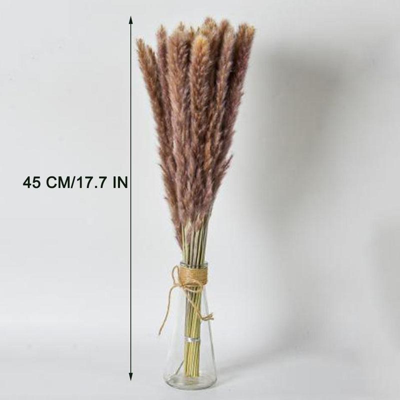 Natural Dried Pampas Grass for Room Decor (65pcs), Dried Plant for Home Party Wedding Decoration, Home Decor Supplies