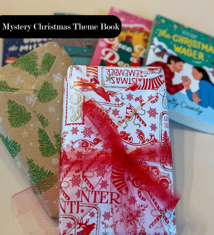 Christmas Gift Box for Women Blind Date with a Book Christmas Book Lover Gift Mystery Book Gift for Friend Holiday Gift Box Book Nerd Basket